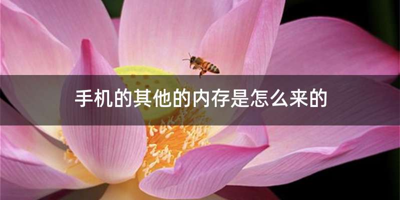 手机的其他的内存是怎么来的