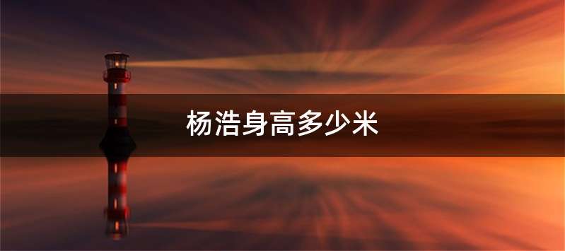 杨浩身高多少米
