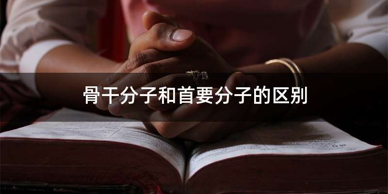 骨干分子和首要分子的区别