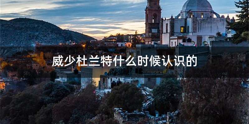 威少杜兰特什么时候认识的