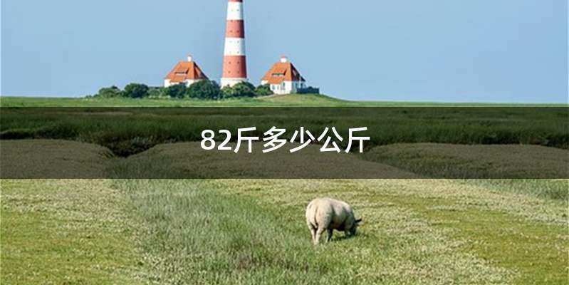 82斤多少公斤