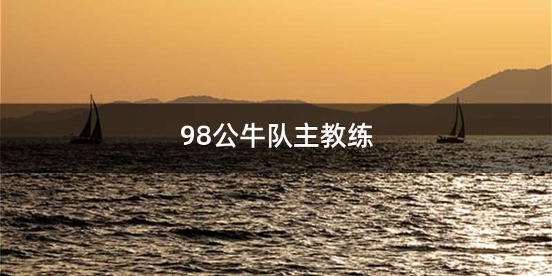 98公牛队主教练