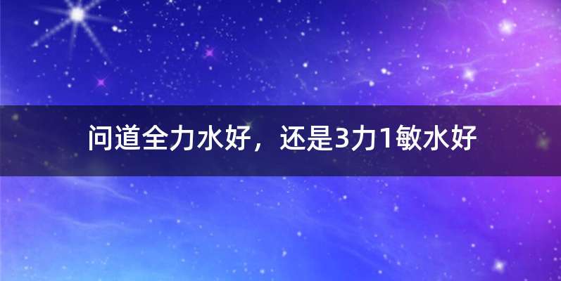 问道全力水好，还是3力1敏水好