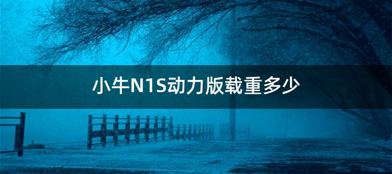 小牛N1S动力版载重多少