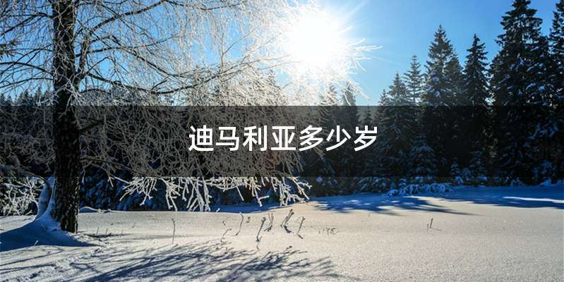 迪马利亚多少岁