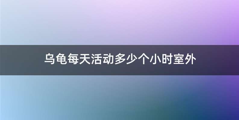 乌龟每天活动多少个小时室外