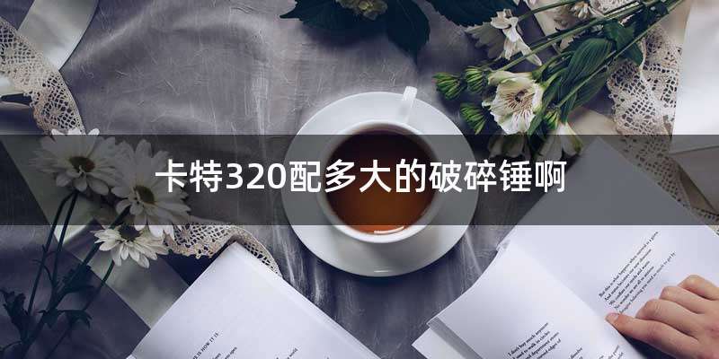 卡特320配多大的破碎锤啊