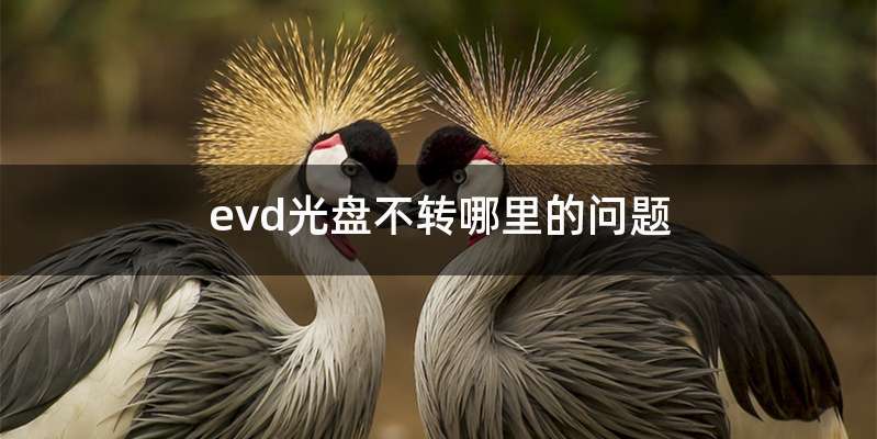 evd光盘不转哪里的问题