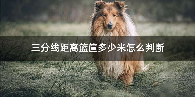 三分线距离篮筐多少米怎么判断