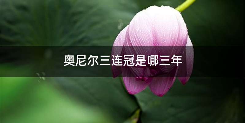奥尼尔三连冠是哪三年