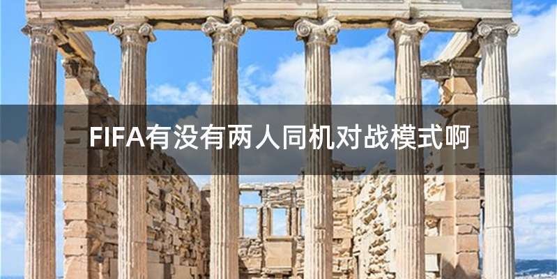 FIFA有没有两人同机对战模式啊