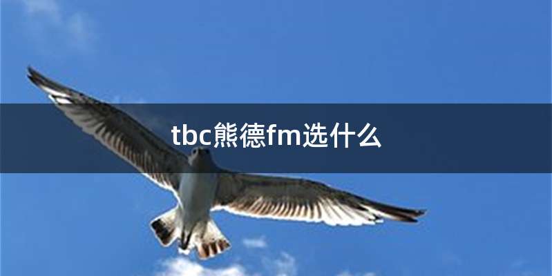 tbc熊德fm选什么