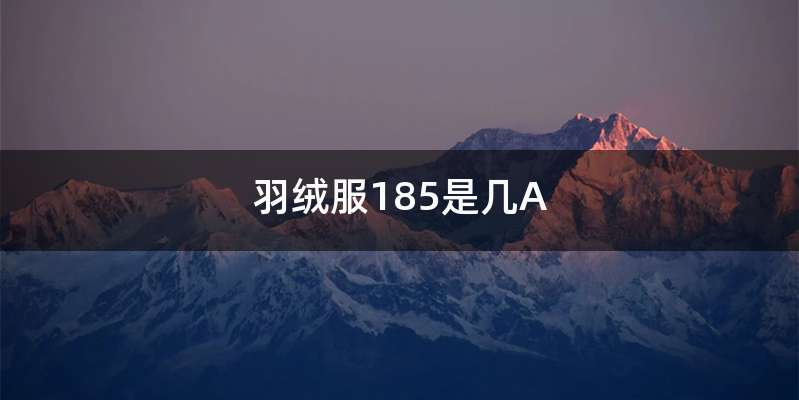 羽绒服185是几A