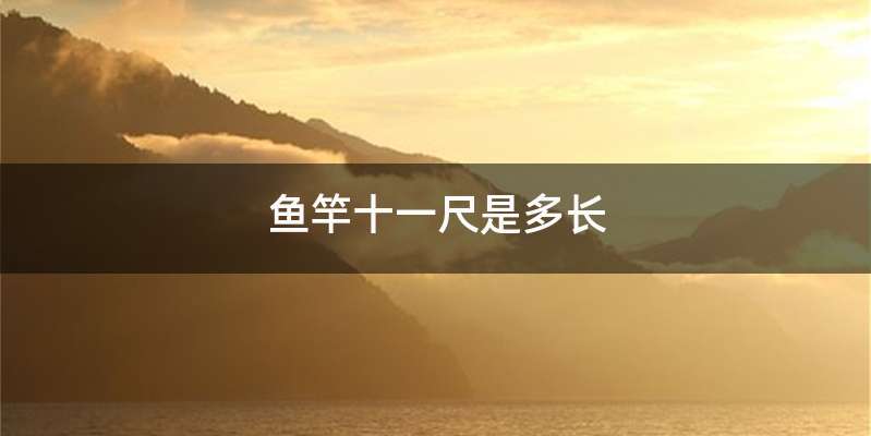 鱼竿十一尺是多长