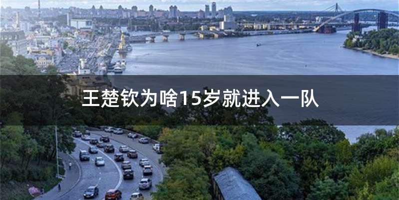 王楚钦为啥15岁就进入一队