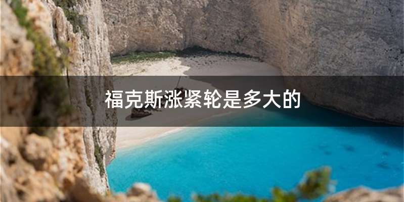 福克斯涨紧轮是多大的