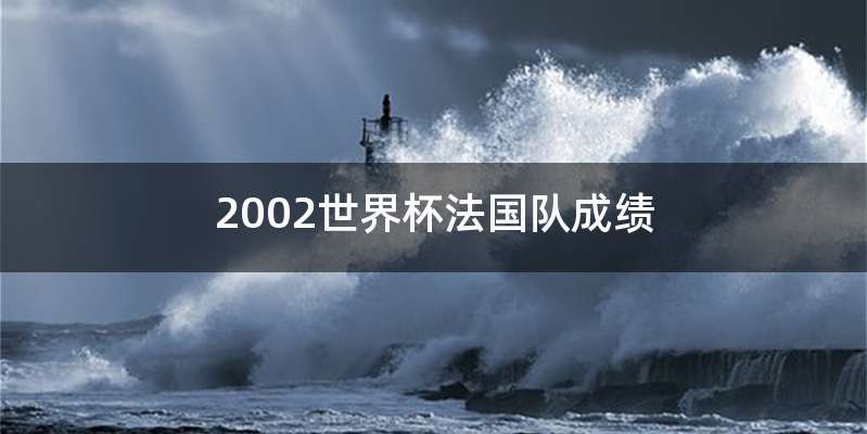 2002世界杯法国队成绩