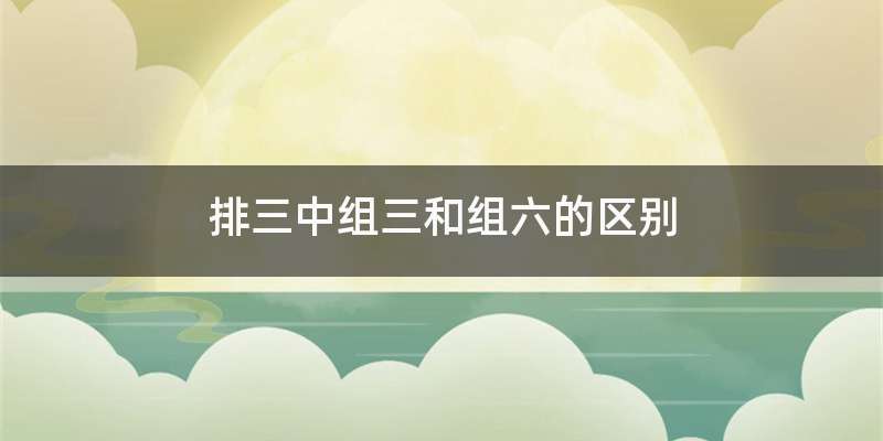 排三中组三和组六的区别