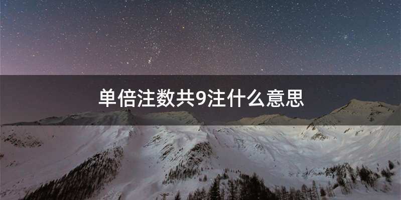 单倍注数共9注什么意思
