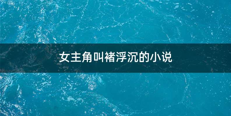 女主角叫褚浮沉的小说