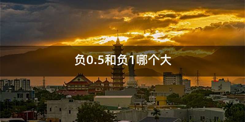 负0.5和负1哪个大