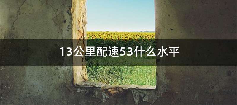 13公里配速53什么水平