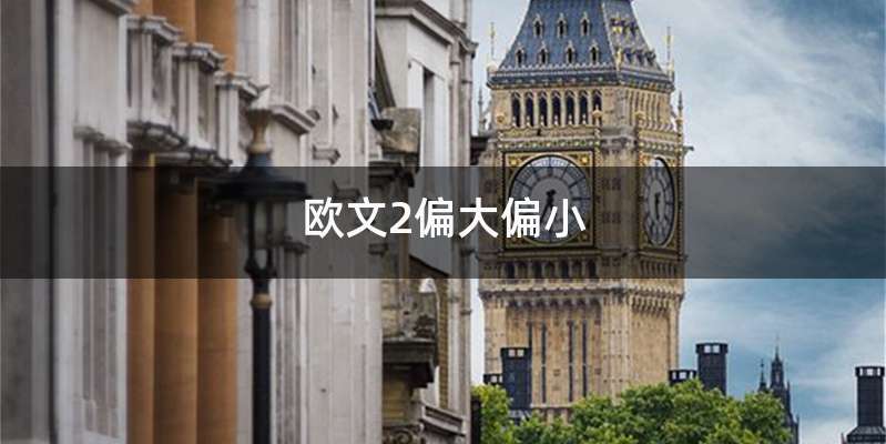 欧文2偏大偏小