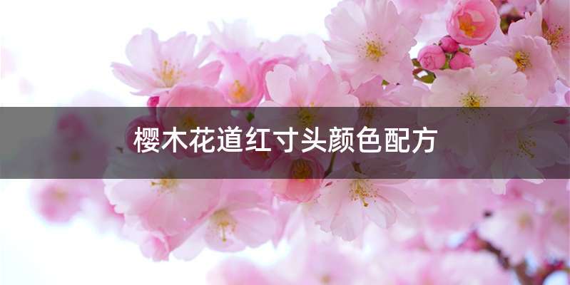 樱木花道红寸头颜色配方