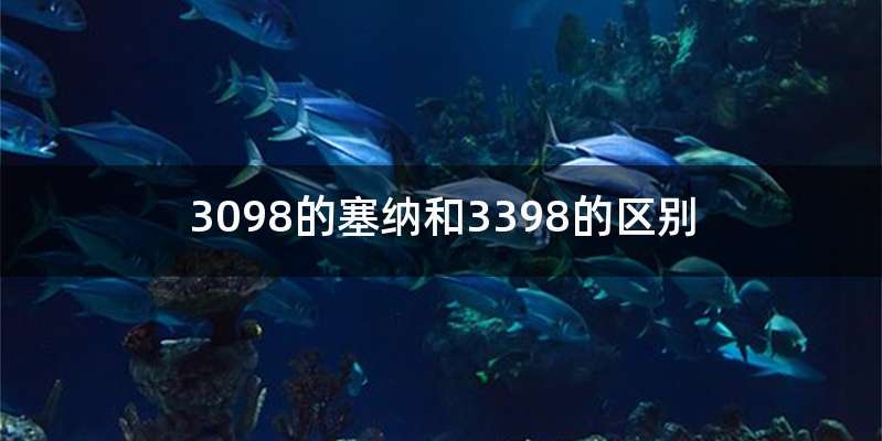 3098的塞纳和3398的区别