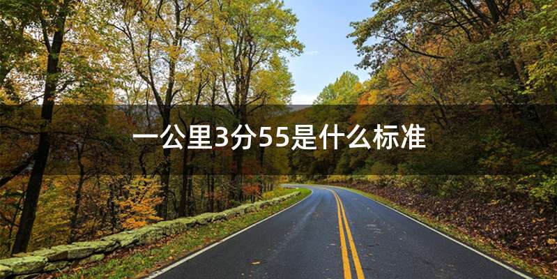 一公里3分55是什么标准