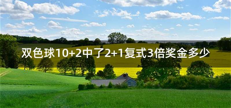 双色球10+2中了2+1复式3倍奖金多少
