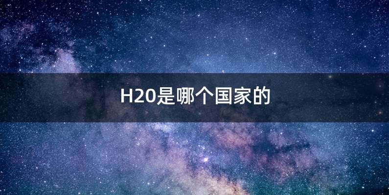 H20是哪个国家的