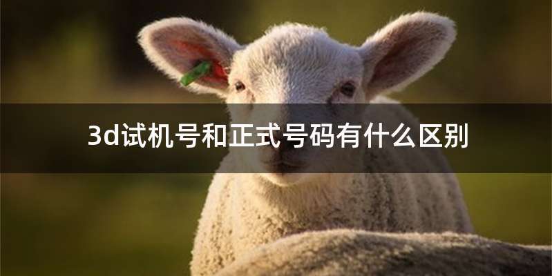 3d试机号和正式号码有什么区别
