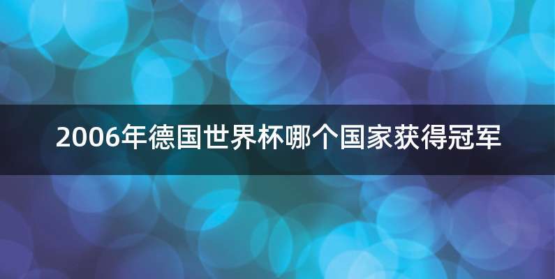 2006年德国世界杯哪个国家获得冠军
