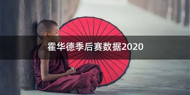 霍华德季后赛数据2020