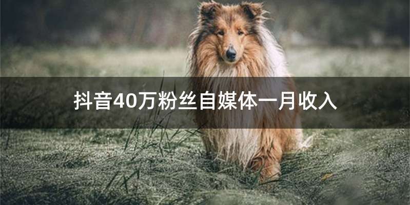 抖音40万粉丝自媒体一月收入