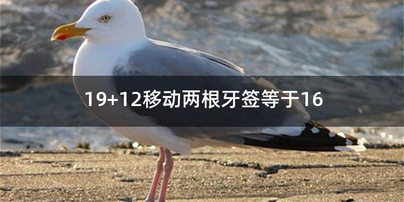 19+12移动两根牙签等于16
