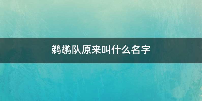 鹈鹕队原来叫什么名字