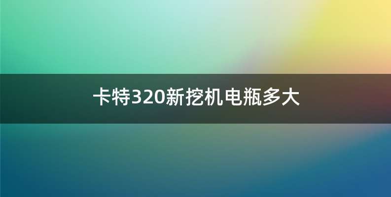 卡特320新挖机电瓶多大