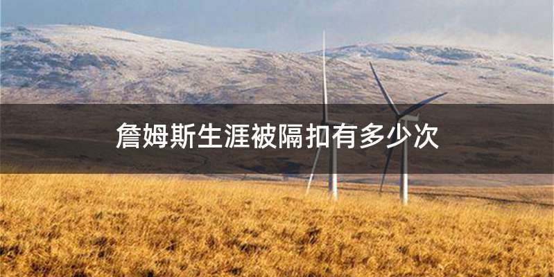 詹姆斯生涯被隔扣有多少次