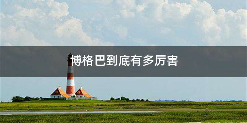 博格巴到底有多厉害