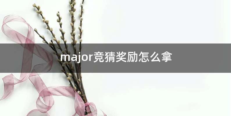 major竞猜奖励怎么拿