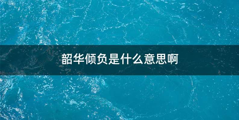 韶华倾负是什么意思啊