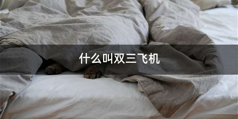 什么叫双三飞机