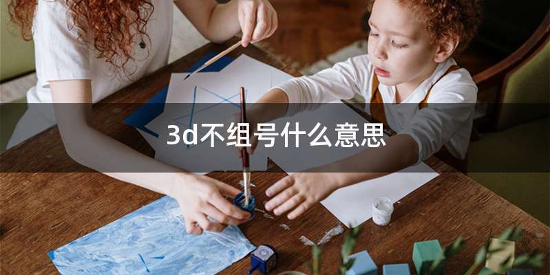 3d不组号什么意思