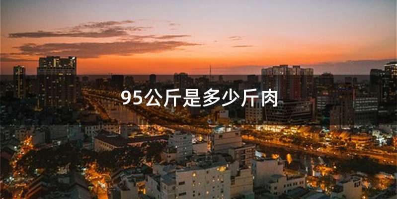 95公斤是多少斤肉