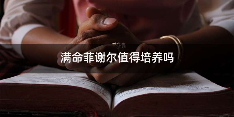 满命菲谢尔值得培养吗