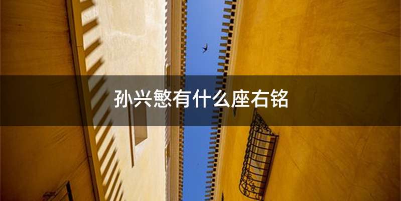 孙兴慜有什么座右铭