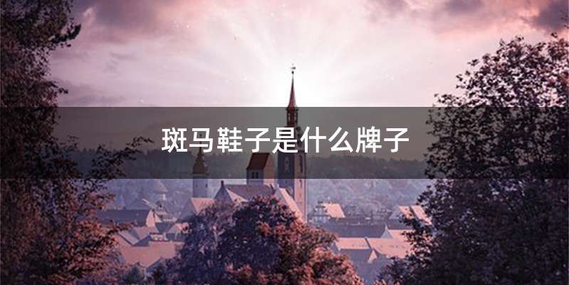 斑马鞋子是什么牌子