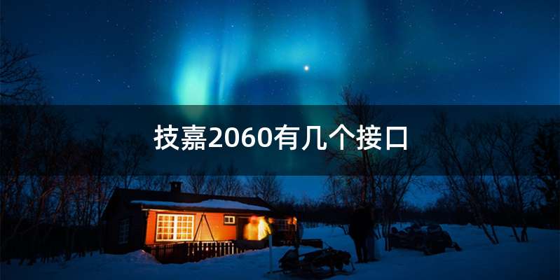 技嘉2060有几个接口